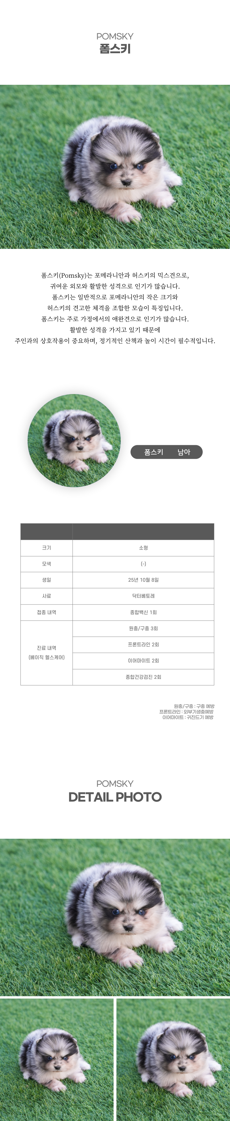 폼스키_상세이미지_2